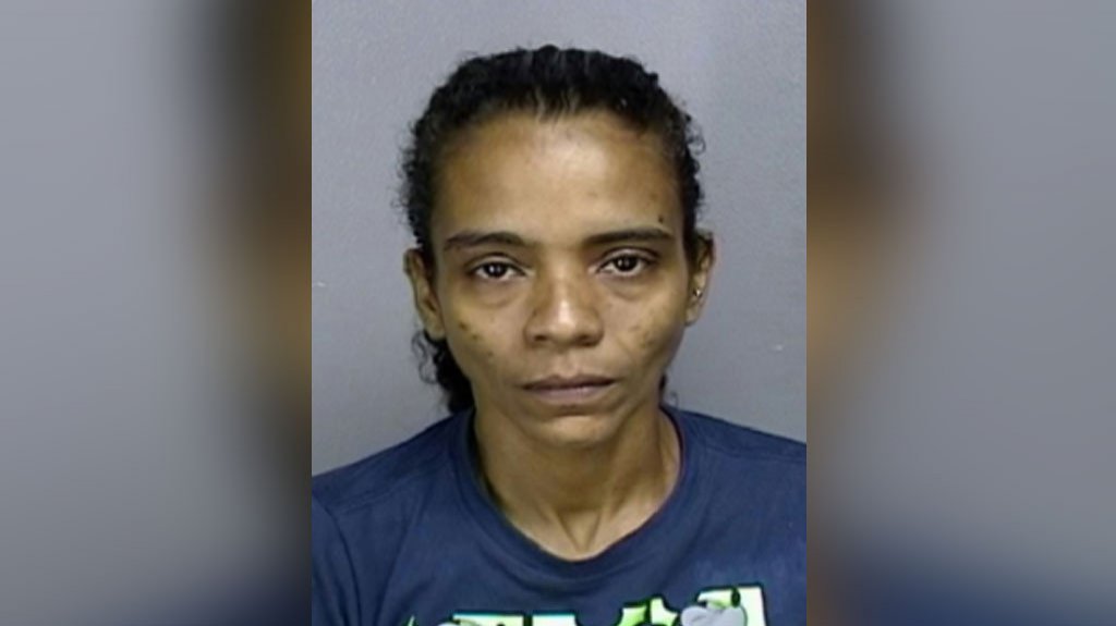  Arrestan a mujer por violar orden de protecci&oacute;n en Dorado 