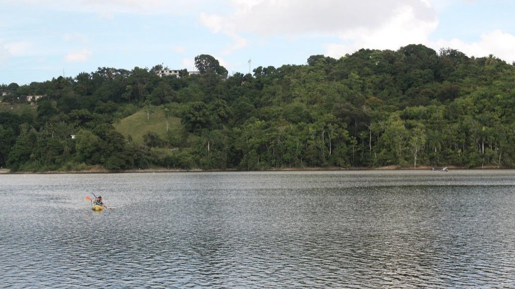  Aboga legislador del PNP por la reapertura de Villa Pesquera de Toa Alta 