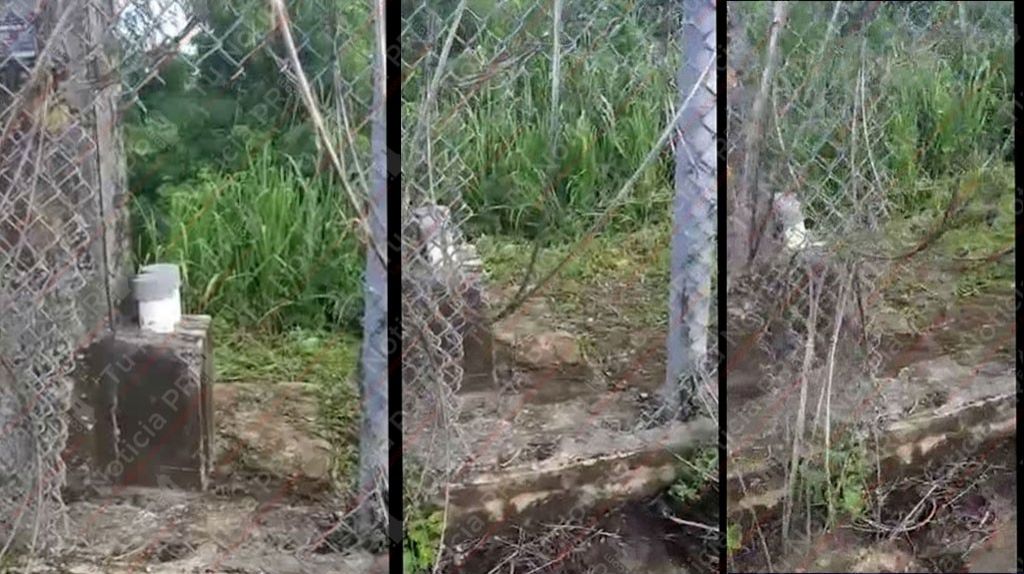  Video: Investigan posible fuga de presos en c&aacute;rcel de Bayam&oacute;n 