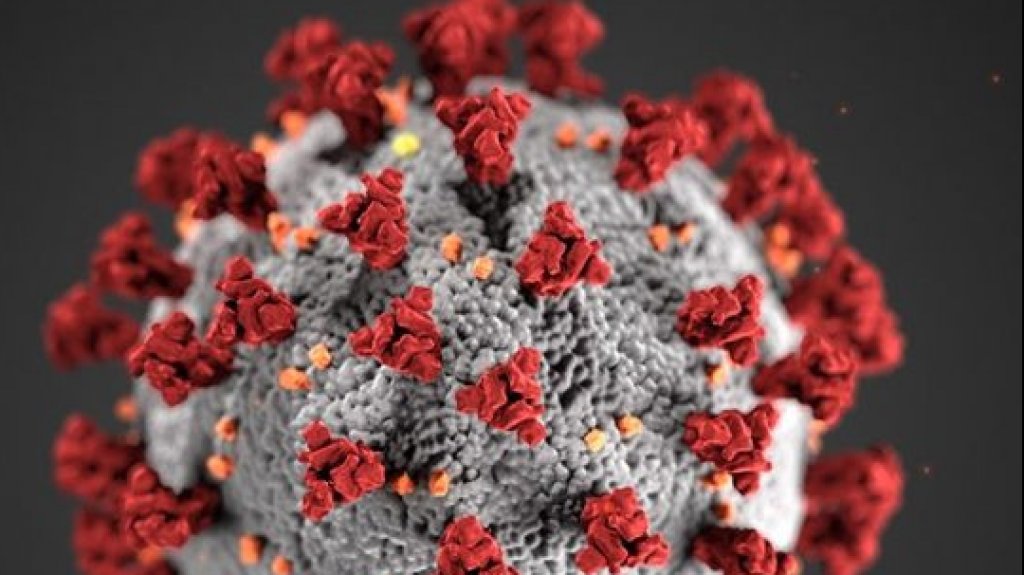  Salud reporta tres muertes, 444 casos confirmados y 156 probables adicionales por COVID-19 