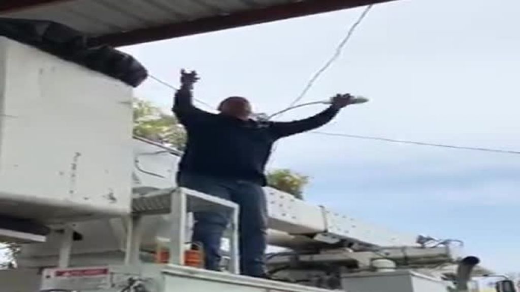  Video: "Hagan lo que les salga de los cojones,dice este empleado publico" 