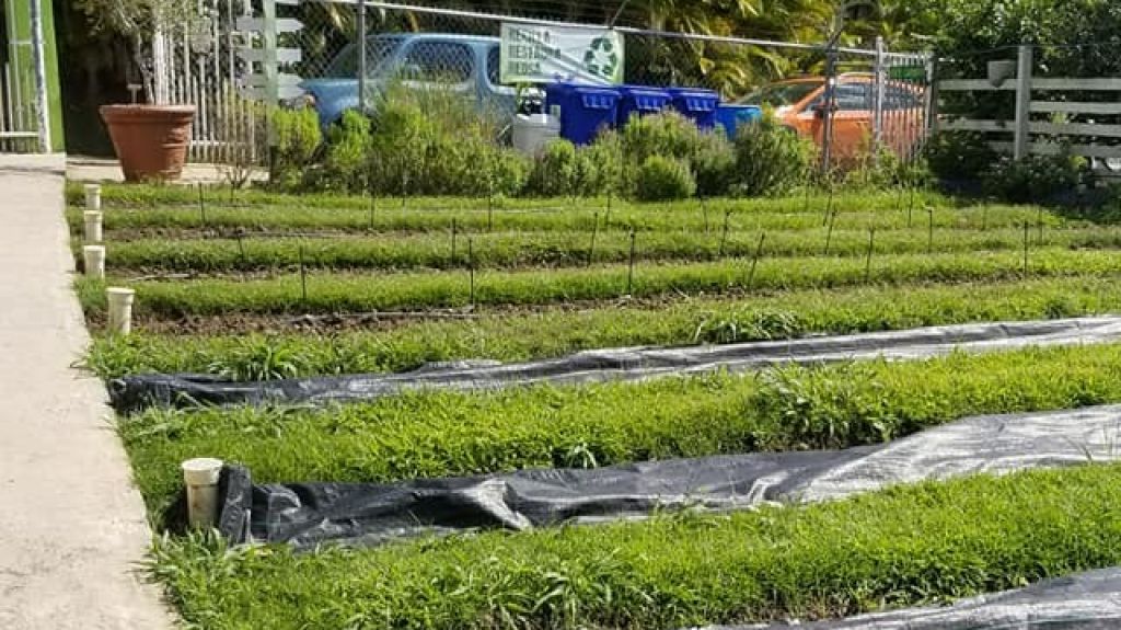  Turismo otorga tres nuevas certificaciones agrotur&iacute;sticas y aumentan a 24 los proyectos agrotur&iacute;sticos certificados 