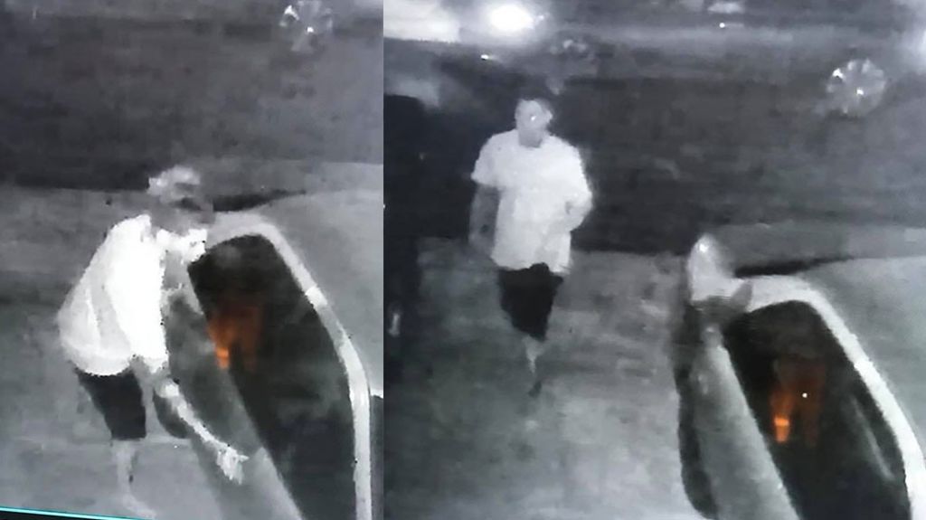  Video: Cacos en Toa Baja intenta robar en veh&iacute;culos estacionados esta madrugada 