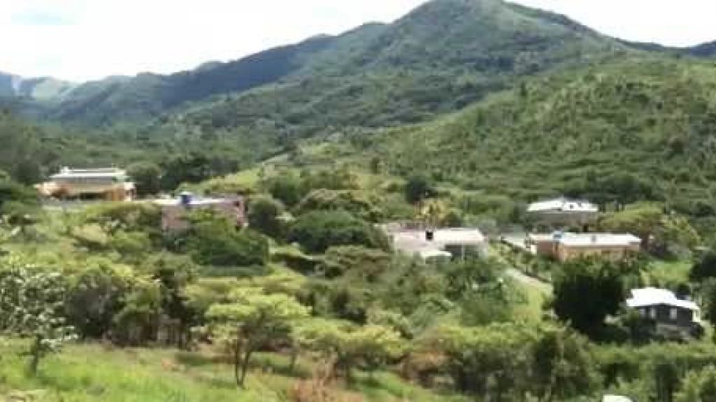  Inhumano desprecio de la AAA con el Barrio J&aacute;jome Bajo de Cayey, nuevamente est&aacute;n sin agua en medio de la pandemia 