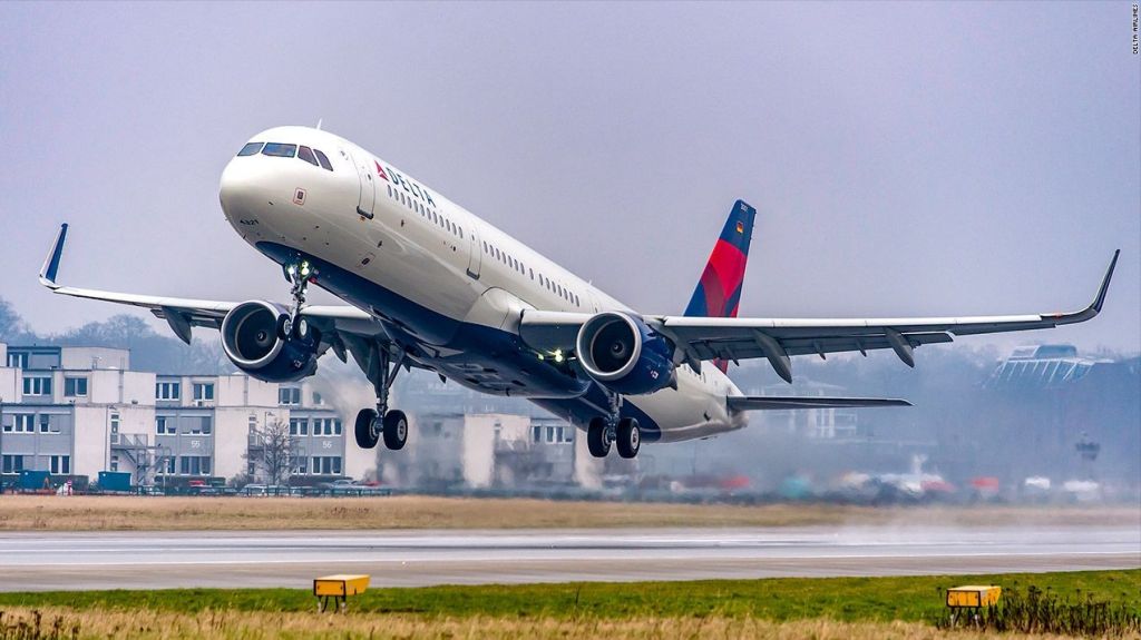  Muere un perro que era transportado por Delta Air Lines 