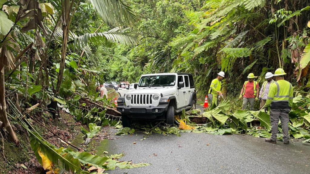  Rescatan más de 20 turistas que quedaron incomunicados en el Yunque 