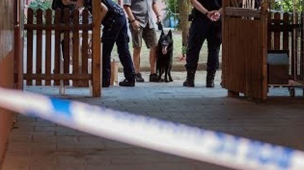  Vea video: Cae red delictiva que trasladaba migrantes de Espa&ntilde;a a Francia 