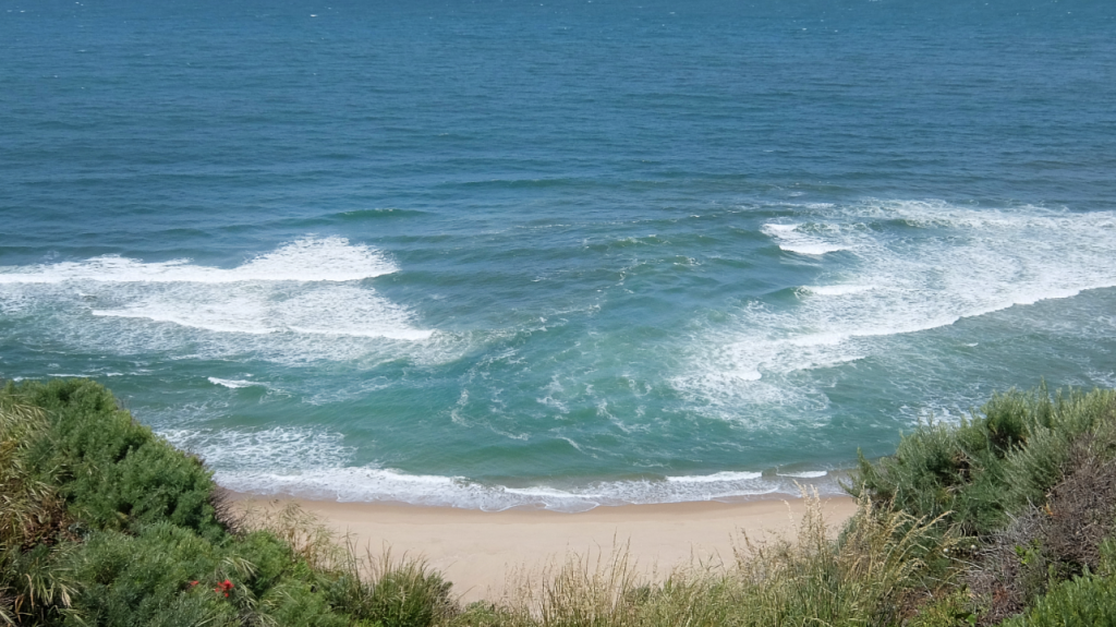  Alerta por fuertes corrientes de resaca en costas hasta el viernes 