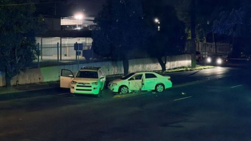  Dos hombres son asesinados a tiros en Gurabo 
