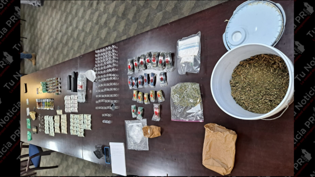  Realizan dos arrestos en medio de intervenci&oacute;n en Juana D&iacute;az 