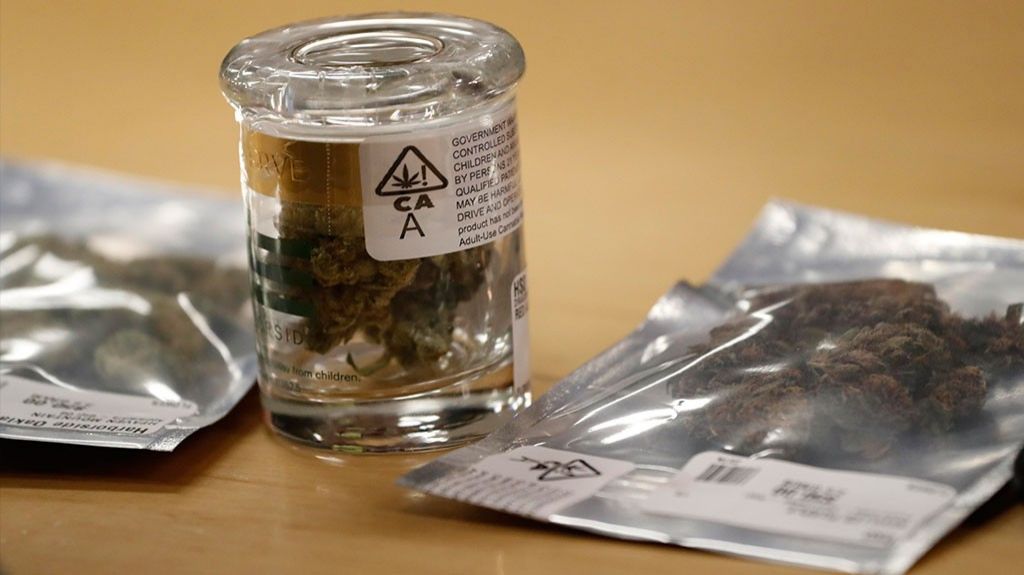  Advierten posible colapso de la industria de cannabis por exceso de dispensarios 