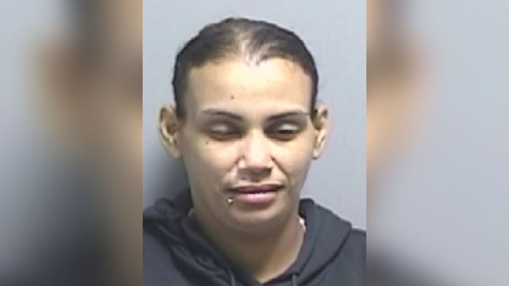  Mujer acusada de violencia psicológica contra su expareja además de agresión con arma blanca 