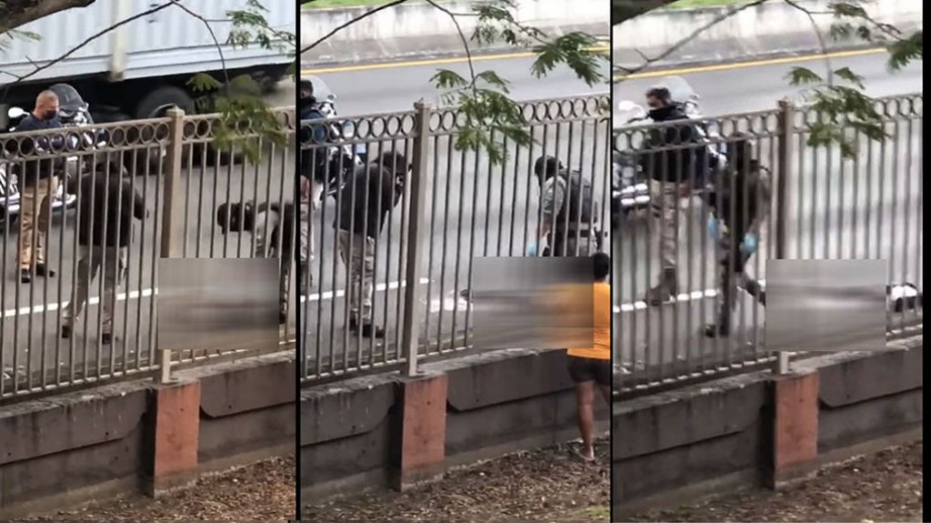  Publican video del momento en que agentes de la polic&iacute;a trabajaban fat&iacute;dica escena donde un peat&oacute;n muri&oacute; en la Baldorioty 