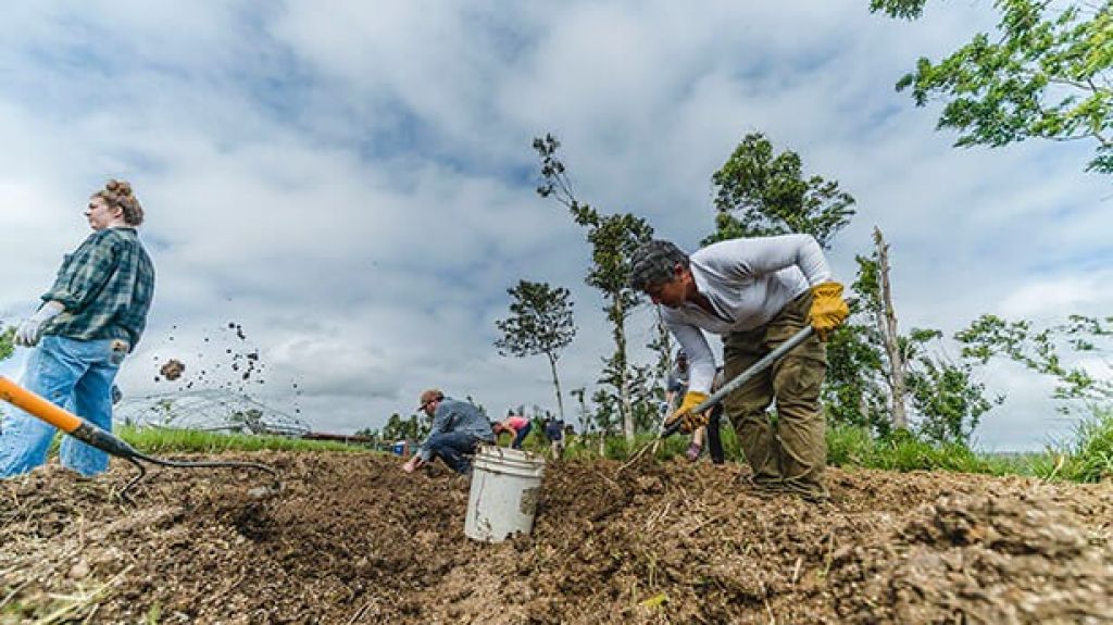  Senado aprueba 25 millones de d&oacute;lares para agricultores registrados 