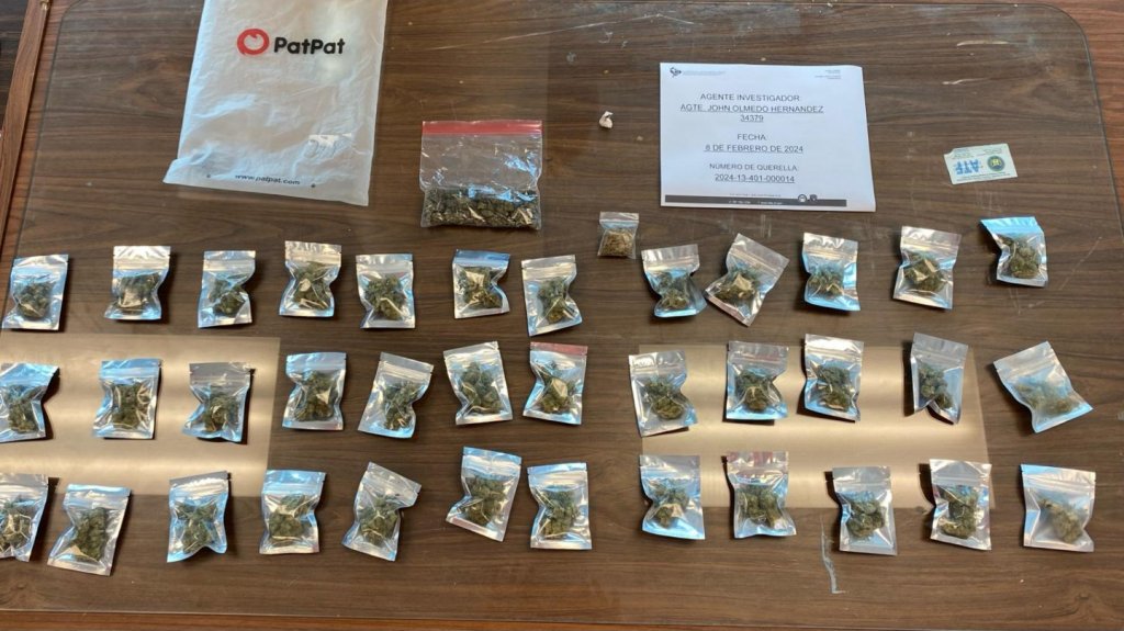  Detenida una familia durante allanamiento en Coamo 