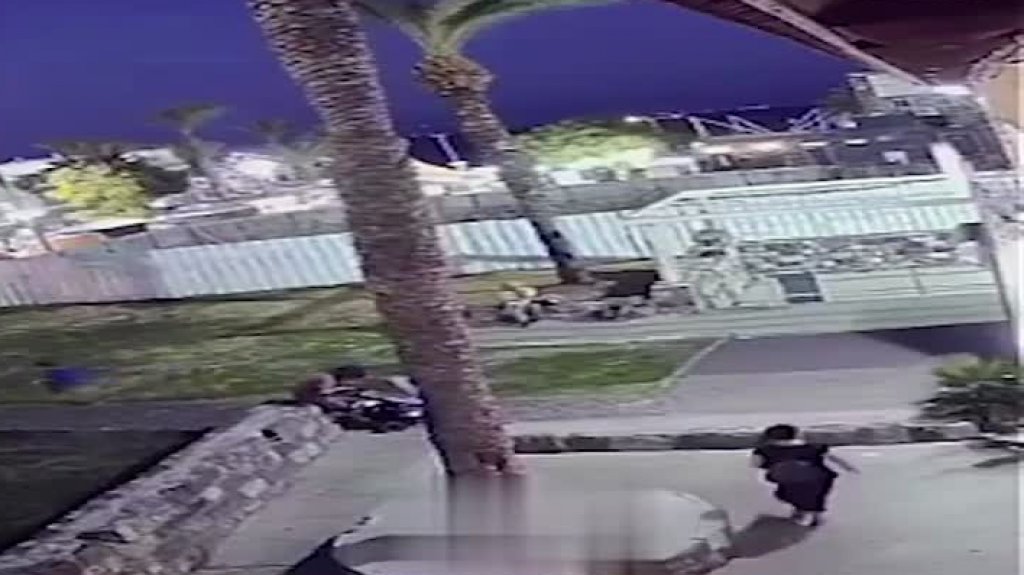  Video: Una palma se parte y cae sobre una mujer 