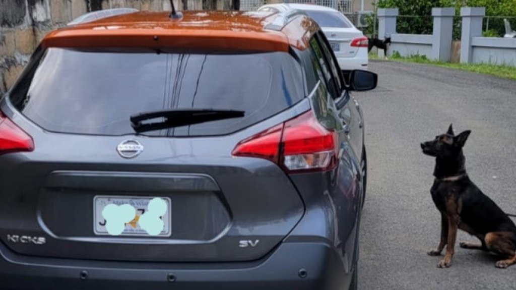  Ocupan drogas durante allanamiento a un auto en Vega Baja 