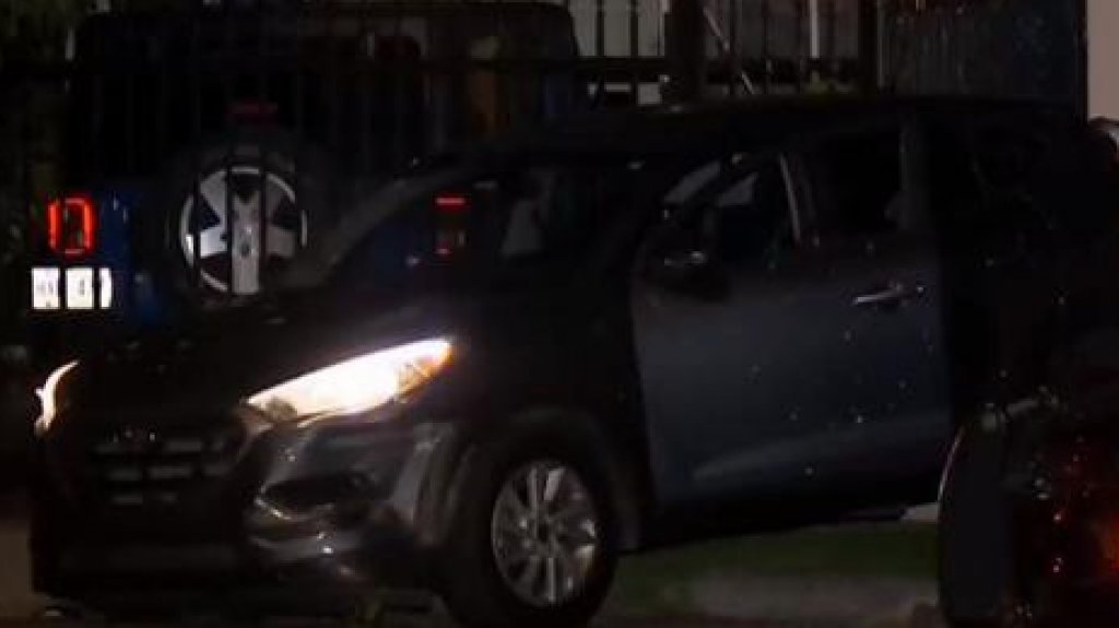  Se Acabo el Circo del NIE y Justica No Causa en vista de alzada contra polic&iacute;as que detuvieron delincuente de 16 a&ntilde;os con carro robado 