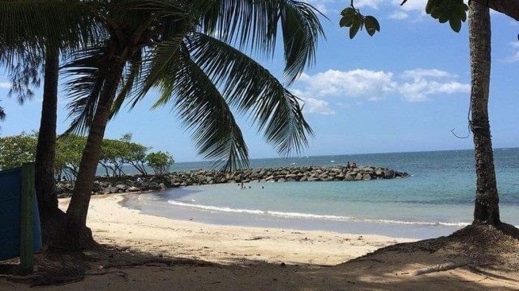  Exdirector de Compa&ntilde;&iacute;a de Parques Nacionales denuncia ausencia de protocolos adecuados para apertura de balnearios 