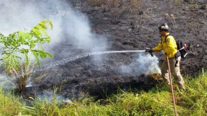 FUEGOS FORESTAL EN EL OESTE  DEJA PÃRDIDAS POR $61,000 EN 300 CUERDAS DE TERRENO