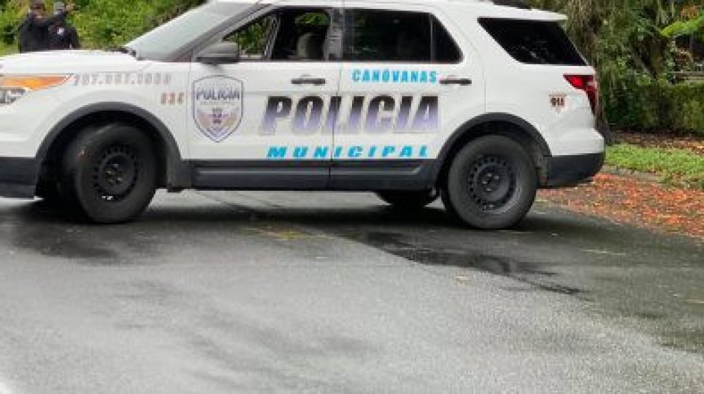  Investigan conductora que atropell&oacute; dos perritos en Can&oacute;vanas 