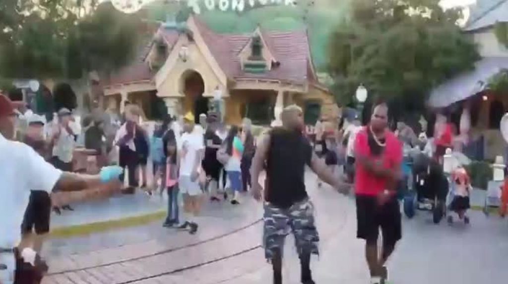  Video: A pu&ntilde;o limpio en parque de Disney en California 