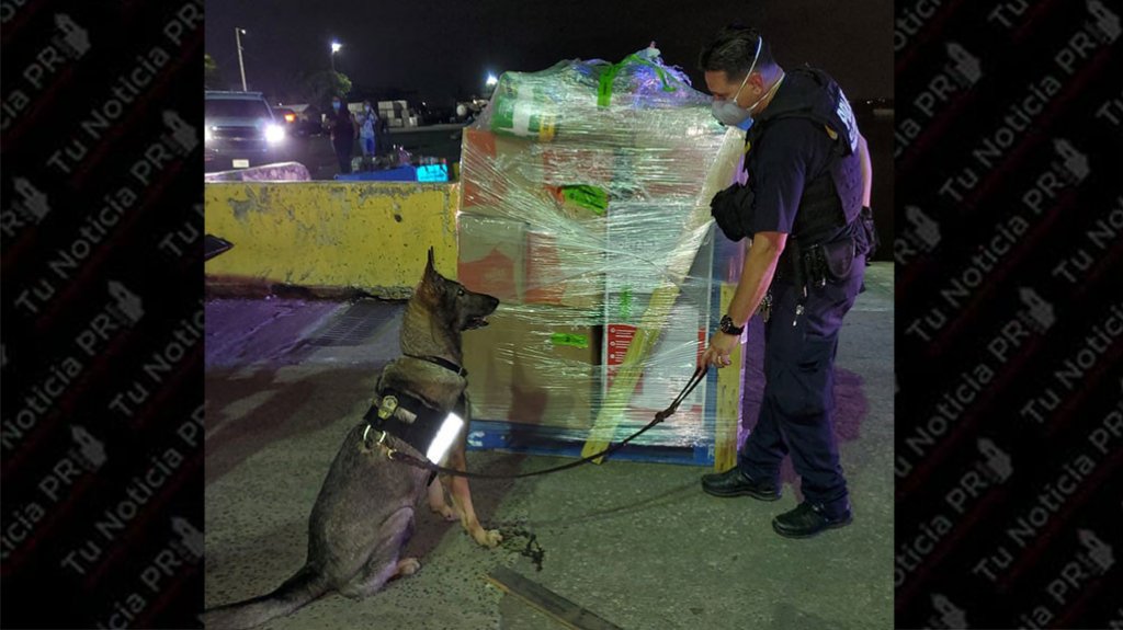  Fotos: Desde Puerto Rico para St. Thomas, encuentran cajas de Home Depot con m&aacute;s de 27 millones de d&oacute;lares 