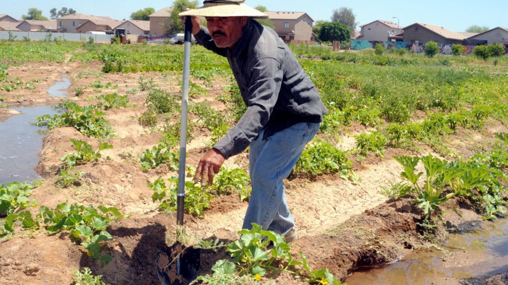  Florida perder&iacute;a 253.000 empleos si aprueban ley que verifica indocumentados 