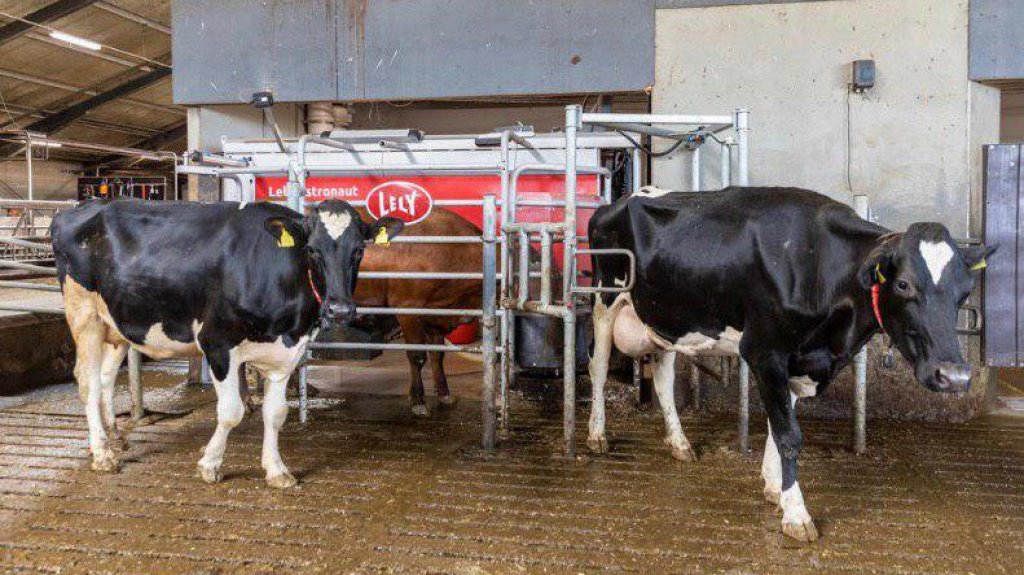  Ahora vendr&aacute;n los hondure&ntilde;os a trabajar la tierra ante la falta de inter&eacute;s de los puertorrique&ntilde;os 