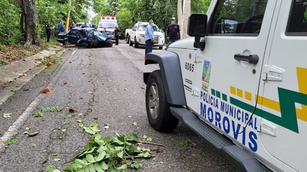  Huyeron de los municipales de Morovis y terminaron estrellados en un &aacute;rbol 