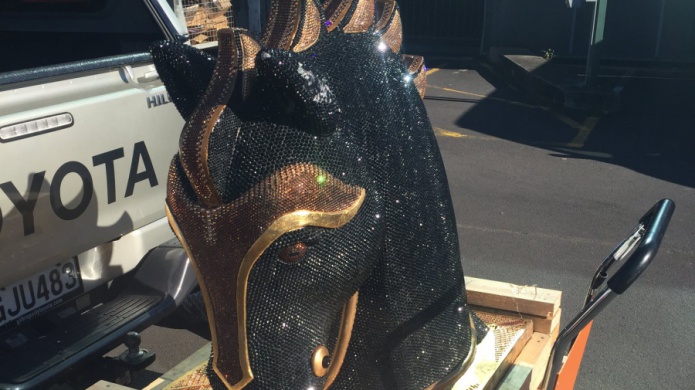 Hallan cocaÃ­na valorada en 14 millones de dÃ³lares en la cabeza de un caballo en Nueva Zelanda