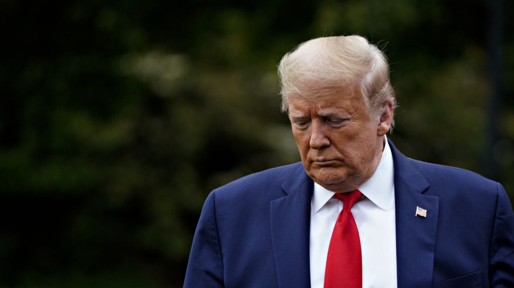  Trump sostiene que el coronavirus "simplemente desaparecer&aacute;" en alg&uacute;n momento 