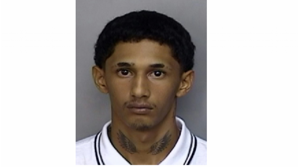  Arrestado con un veh&iacute;culo robado en Guayama 