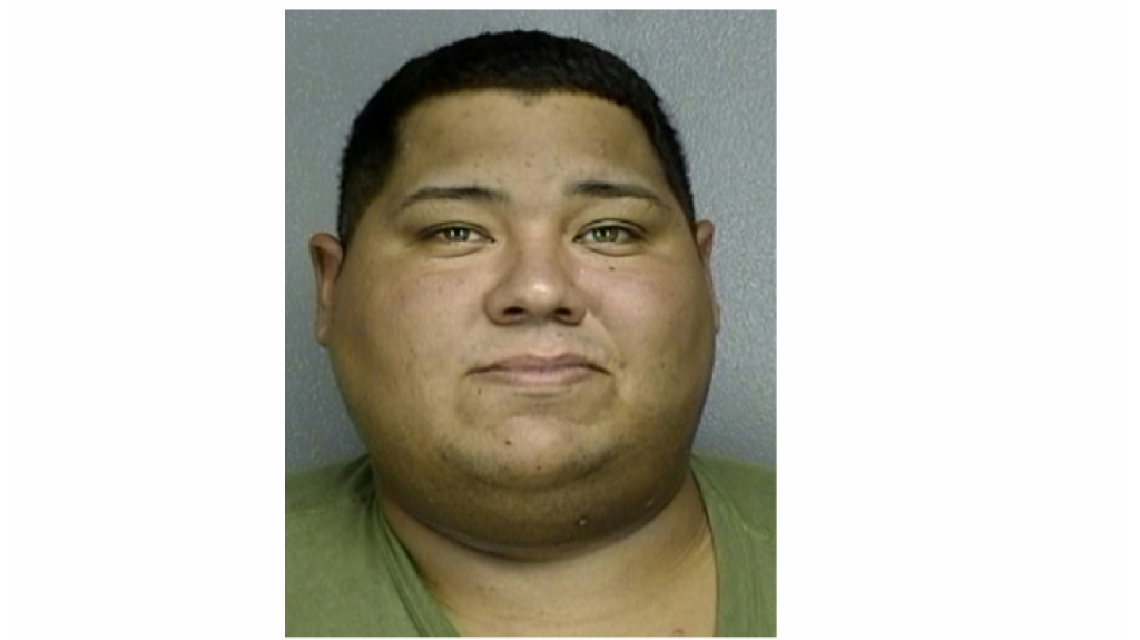  A la cárcel por Ley 54 en Toa Baja 