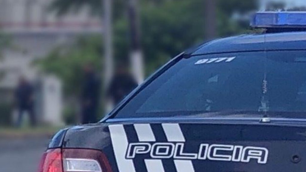  Polic&iacute;a pide ayuda para encontrar cotorra robada en Comer&iacute;o 