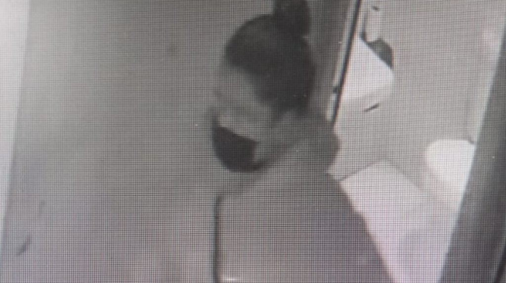  Publican video de mujer que &ldquo;Enca&ntilde;on&oacute;&rdquo; a un hombre en Bayam&oacute;n y lo asalt&oacute; 