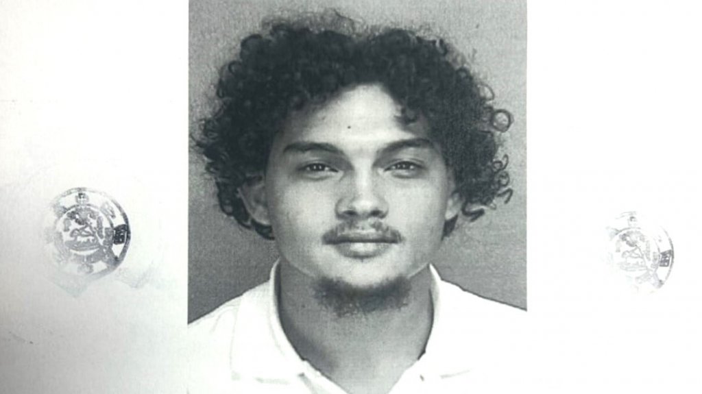  A la cárcel joven de 21 años por Ley 54 en Cataño 