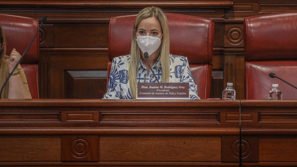  Senadora Rodr&iacute;guez Veve no descarta enmiendas a proyecto sobre aborto 