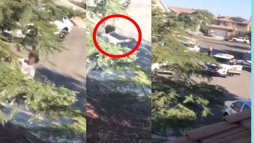  Video: Le quit&oacute; la pistola a una mujer polic&iacute;a, llegaron los refuerzos y se acab&oacute; todo 