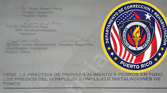 Departamento de CorrecciÃ³n prohÃ­be a empleados alimentar perros sin hogar
