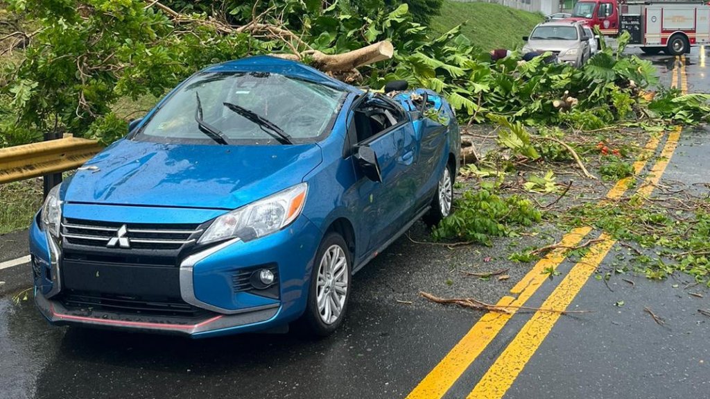  Fotos: &Aacute;rbol cae sobre veh&iacute;culo que transitaba en Yabucoa 