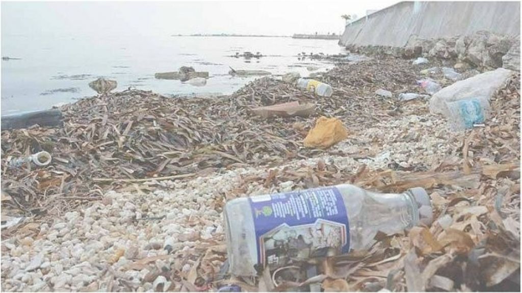  El 80 % de la contaminación de los océanos es producto de la actividad humana 