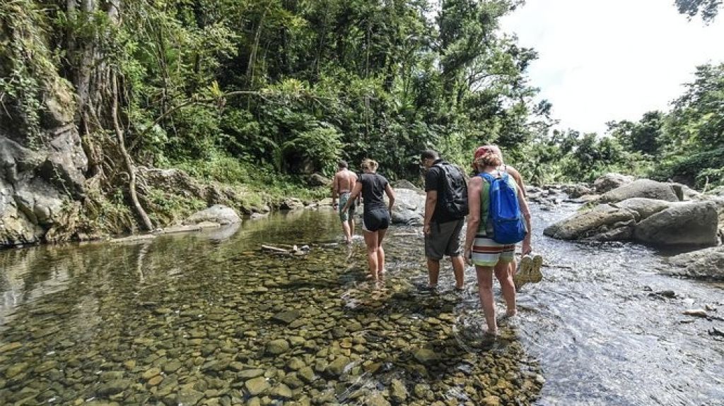  El Yunque ofrecer&aacute; reservas en l&iacute;nea y pases para visitantes cuando reabra 