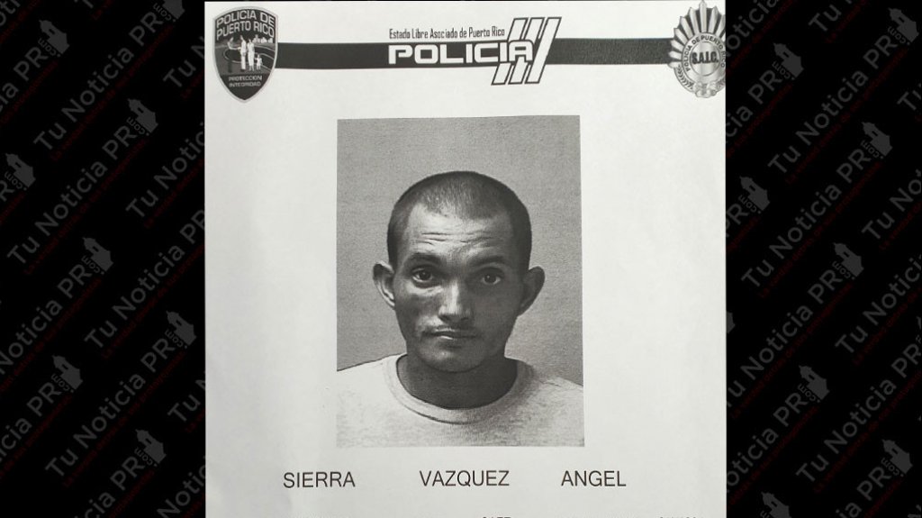  A la c&aacute;rcel &ldquo;caco&rdquo; que escal&oacute; varios negocios en Barceloneta 