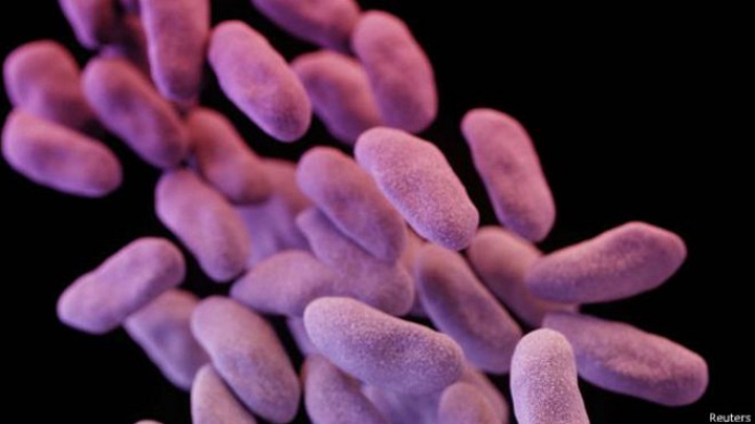 Obama pide US$1.200 millones para combatir bacterias resistentes a los antibiÃ³ticos