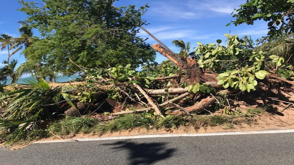  Alegan masacre ambiental en Playa Vacía Talega  