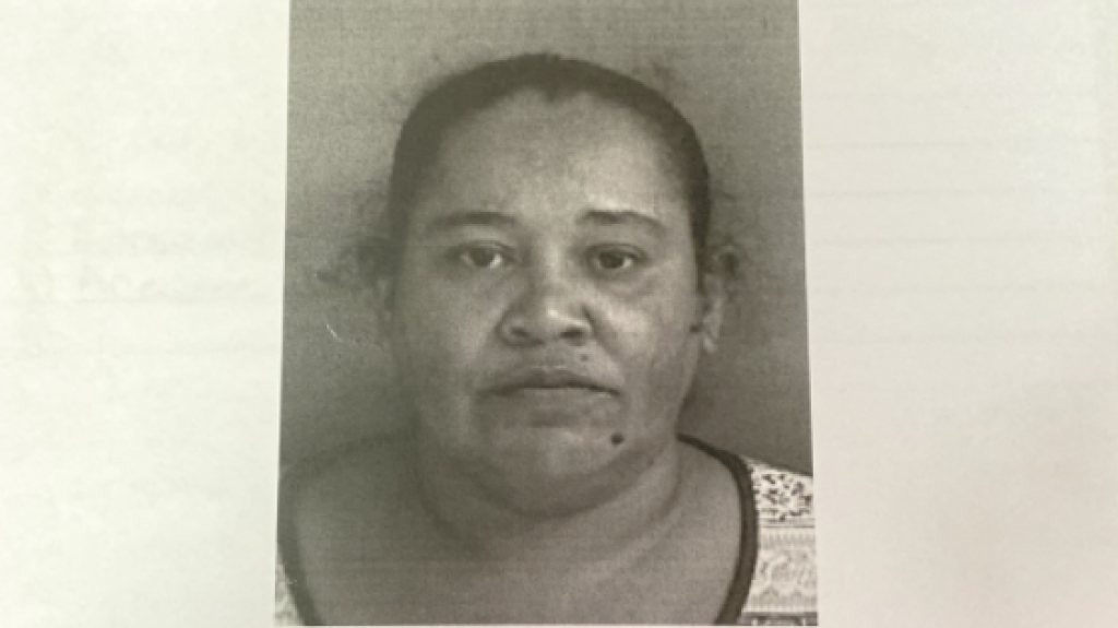  Cargos contra mujer sorprendida con casi 70 bolsitas de coca&iacute;na 