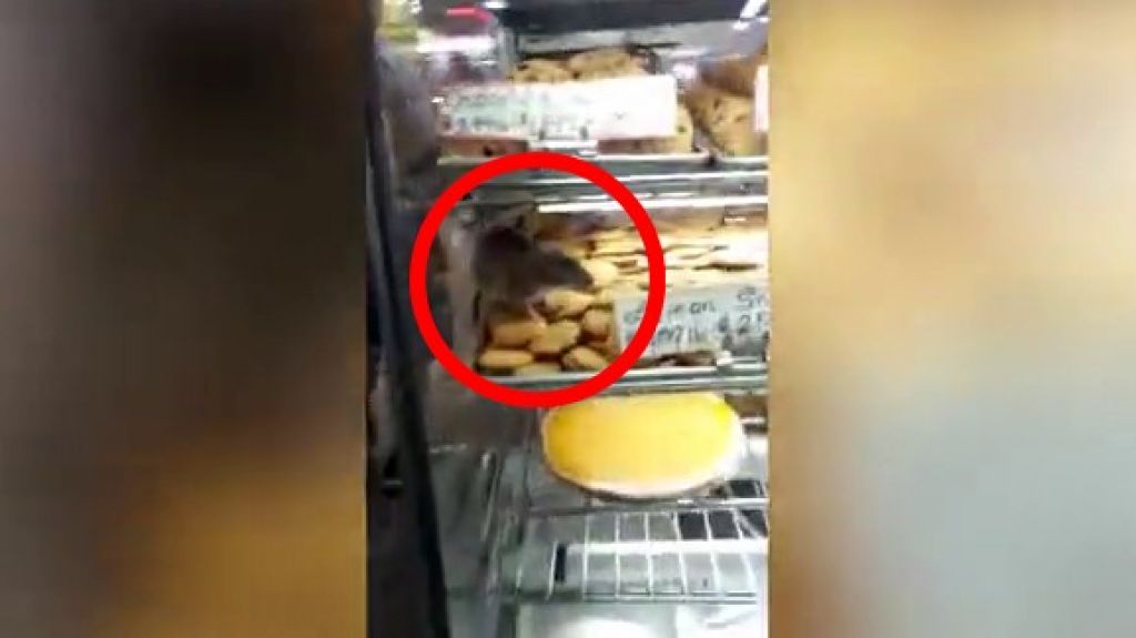  Mujer capta en video una "Rata" corriendo entre dulces en una vitrina de una panader&iacute;a en Baltimore 