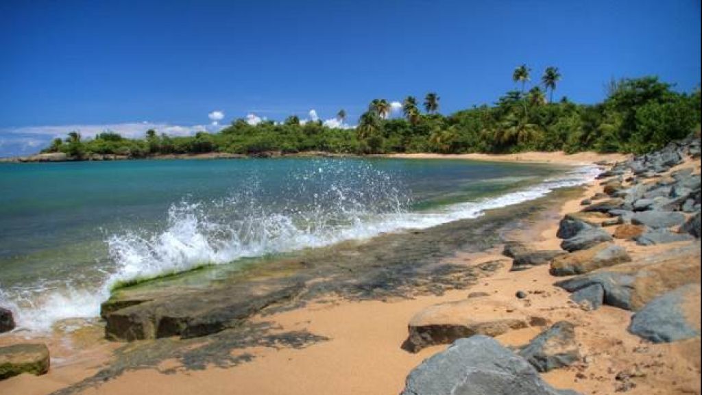  Denuncian por violar orden ejecutiva varias personas que estaba ba&ntilde;&aacute;ndose en playa de Lo&iacute;za 