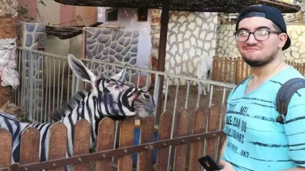  Foto de una burra pintada de cebra mete en un l&iacute;o a zool&oacute;gico 
